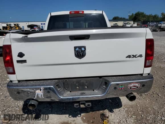 2010 Dodge 1500 TRX with VIN 1D7RV1CT2AS236262, listed as a Copart auction lot 80490635 with 161,843 mi miles and Salvage title. Bid and sale history available at DreamBid. Image 6.