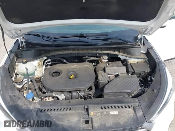 2017 Hyundai Tucson SE с VIN KM8J3CA47HU475448, выставлен на аукционе IAAI как лот 42904548 с пробегом 122 373 миль миль и . История ставок и продаж доступна на DreamBid. Изображение 10.