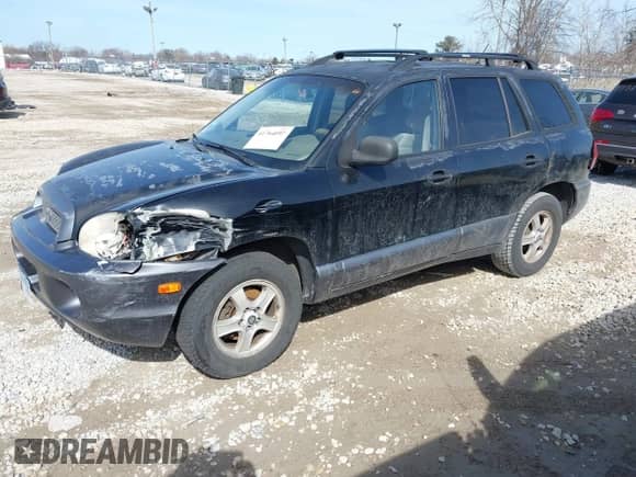 2004 Hyundai Santa Fe GLS с VIN KM8SC13E64U742880, выставлен на аукционе IAAI как лот 41764097 с пробегом 126 559 миль миль и . История ставок и продаж доступна на DreamBid. Изображение 2.