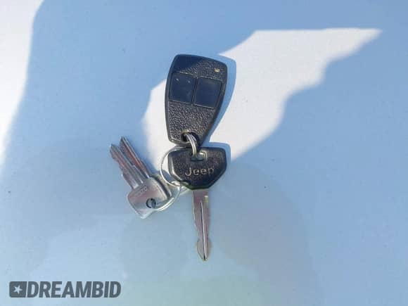 1995 Jeep Grand Cherokee Limited with VIN 1J4GZ78Y6SC709972, listed as a IAAI auction lot 43032564 with 148,830 mi miles and . Bid and sale history available at DreamBid. Image 11.