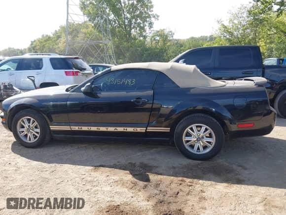 2006 Ford Mustang Standard с VIN 1ZVFT84N865148718, выставлен на аукционе IAAI как лот 43151483 с пробегом 117 522 миль миль и . История ставок и продаж доступна на DreamBid. Изображение 14.