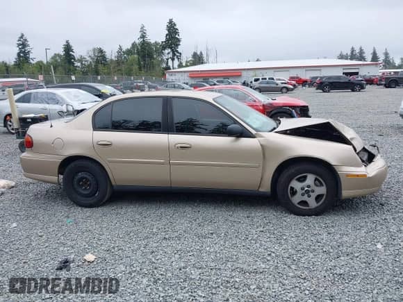 2005 Chevrolet Malibu Classic с VIN 1G1ND52FX5M215869, выставлен на аукционе IAAI как лот 42661096 с пробегом 189 766 миль миль и . История ставок и продаж доступна на DreamBid. Изображение 14.