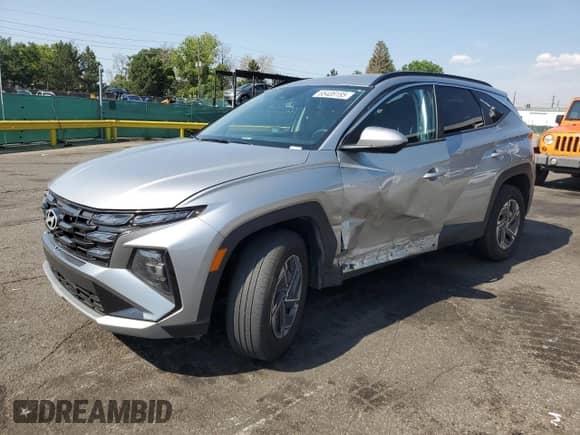 2025 Hyundai Tucson Blue with VIN KM8JBDD13SU255533, listed as a Copart auction lot 65408185 with 18,808 mi miles and Salvage title. Bid and sale history available at DreamBid. Image 1.
