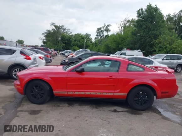 2005 Ford Mustang Deluxe с VIN 1ZVFT80N355177998, выставлен на аукционе IAAI как лот 42837004 с пробегом 140 443 миль миль и . История ставок и продаж доступна на DreamBid. Изображение 14.