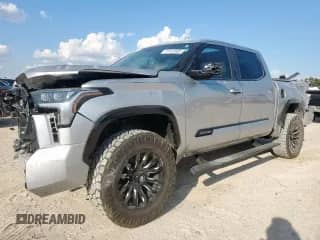 2024 Toyota Tundra Platinum with VIN 5TFNA5AB9RX036810, listed as a Copart auction lot 81447085 with 16,825 mi miles and Non repairable. Bid and sale history available at DreamBid. Image 1.