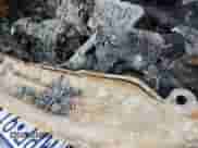 2023 Nissan Murano S с VIN 5N1AZ2AS9PC111527, выставлен на аукционе IAAI как лот 42893988 с пробегом Не указан миль и . История ставок и продаж доступна на DreamBid. Изображение 9.