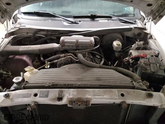 2000 Dodge 1500 с VIN 1B7HF16Z7YS514697, выставлен на аукционе Copart как лот 82132784 с пробегом 77 466 миль миль и Чистый • Clean title. История ставок и продаж доступна на DreamBid. Изображение 11.