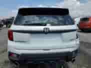 2022 Honda Passport EX-L with VIN 5FNYF8H50NB027448, listed as a Copart auction lot 56055505 with Not provided miles and Salvage title. Bid and sale history available at DreamBid. Image 6.