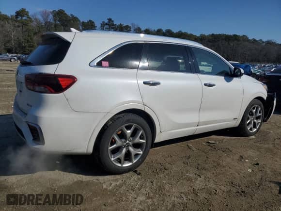 2019 Kia Sorento SX Limited with VIN 5XYPKDA51KG536785, listed as a Copart auction lot 41959205 with 71,290 mi miles and Salvage title. Bid and sale history available at DreamBid. Image 3.