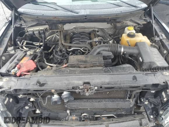 2014 Ford F-150 XL с VIN 1FTFX1EF9EFA83666, выставлен на аукционе Copart как лот 84371015 с пробегом 166 692 миль миль и Списание • Salvage title. История ставок и продаж доступна на DreamBid. Изображение 11.