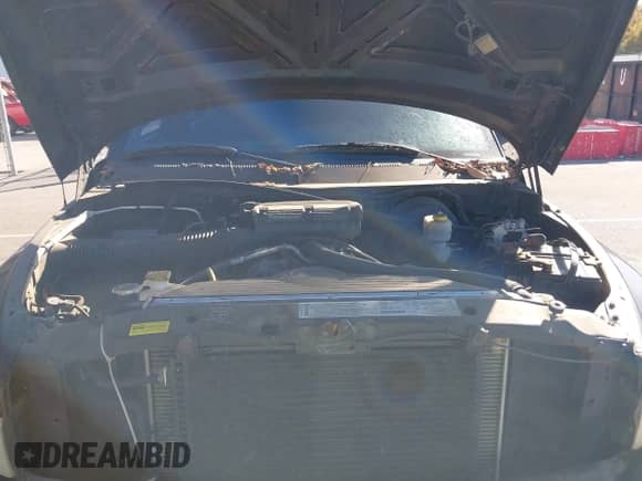 2000 Dodge 1500 with VIN 1B7HF13Z8YJ175796, listed as a IAAI auction lot 43515316 with 151,552 mi miles and . Bid and sale history available at DreamBid. Image 10.