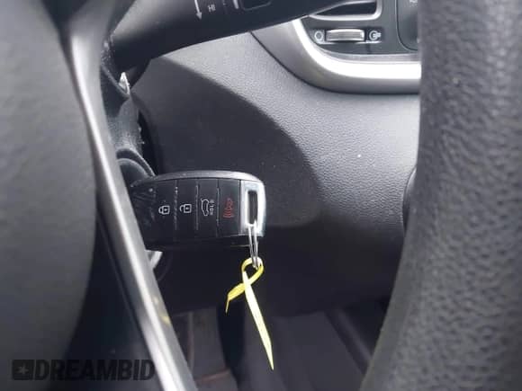 2017 Kia Sorento LX z VIN 5XYPGDA58HG209729, wystawiony jako IAAI lot #43548801 z przebiegiem 199 270 mil mil oraz . Historia ofert i sprzedaży dostępna na DreamBid. Obrazek 11.