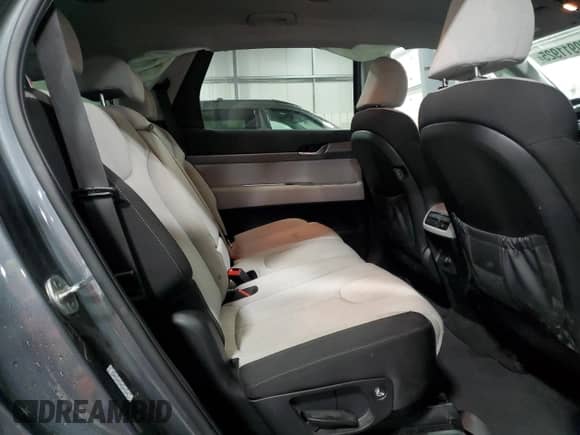 2022 Hyundai Palisade SE with VIN KM8R1DHE4NU381570, listed as a Copart auction lot 60911925 with 71,691 mi miles and Salvage title. Bid and sale history available at DreamBid. Image 11.