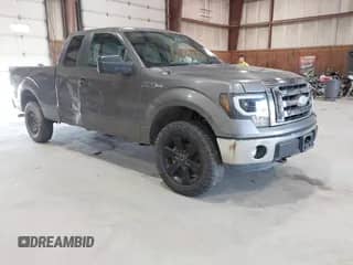 2011 Ford F-150 XL with VIN 1FTFX1EF5BFB58522, listed as a IAAI auction lot 42961485 with 251,256 mi miles and . Bid and sale history available at DreamBid. Image 1.