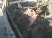 2021 Chevrolet Spark ACTIV с VIN KL8CH6SA2MC713722, выставлен на аукционе Copart как лот 59145695 с пробегом Не указан миль и На запчасти • Non repairable. История ставок и продаж доступна на DreamBid. Изображение 8.