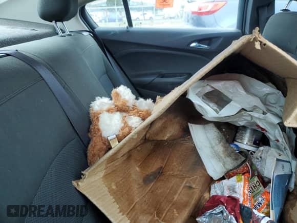 2016 Chevrolet Cruze LS с VIN 1G1BB5SM2G7276285, выставлен на аукционе Copart как лот 50049205 с пробегом 125 638 миль миль и Чистый • Clean title. История ставок и продаж доступна на DreamBid. Изображение 10.