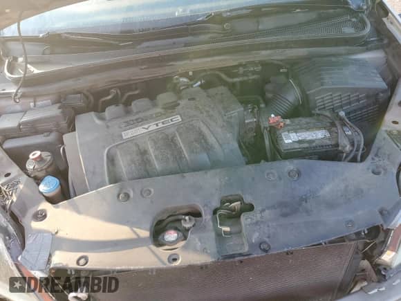 2005 Honda Odyssey EX z VIN 5FNRL384X5B400342, wystawiony jako Copart lot #80887225 z przebiegiem 214 575 mil mil oraz Szkoda całkowita • Salvage title. Historia ofert i sprzedaży dostępna na DreamBid. Obrazek 12.