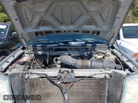 2006 Ford F-150 STX with VIN 1FTRX12W36NB89488, listed as a IAAI auction lot 43376861 with 250,306 mi miles and . Bid and sale history available at DreamBid. Image 10.