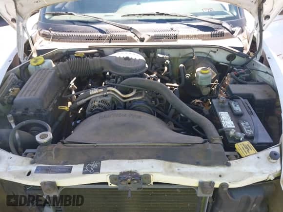 1999 Dodge Dakota SLT с VIN 1B7GL22X0XS193423, выставлен на аукционе IAAI как лот 42053562 с пробегом 209 802 миль миль и . История ставок и продаж доступна на DreamBid. Изображение 10.