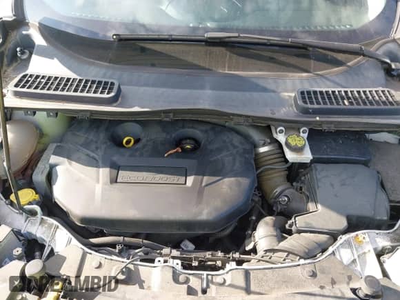 2017 Ford Escape SE with VIN 1FMCU9G94HUB77175, listed as a IAAI auction lot 43359533 with 153,347 mi miles and . Bid and sale history available at DreamBid. Image 10.