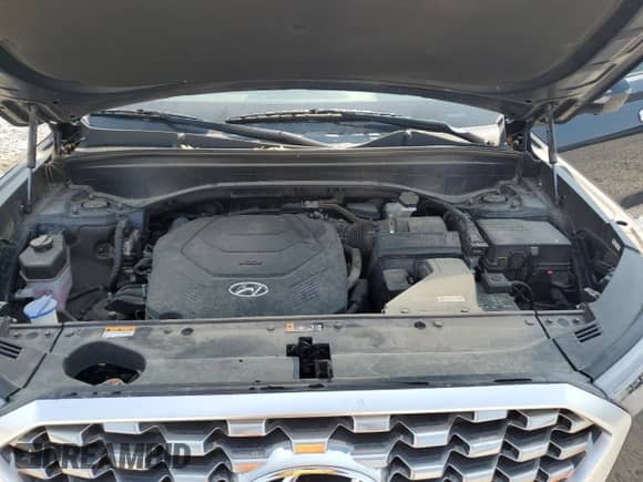 2022 Hyundai Palisade Limited с VIN KM8R5DHE6NU361728, выставлен на аукционе Copart как лот 58854145 с пробегом 75 546 миль миль и Списание • Salvage title. История ставок и продаж доступна на DreamBid. Изображение 12.