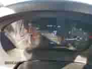 2022 Ram ProMaster Cargo с VIN 3C6MRVJG9NE104394, выставлен на аукционе Copart как лот 85069974 с пробегом 94 041 миль миль и Списание • Salvage title. История ставок и продаж доступна на DreamBid. Изображение 9.