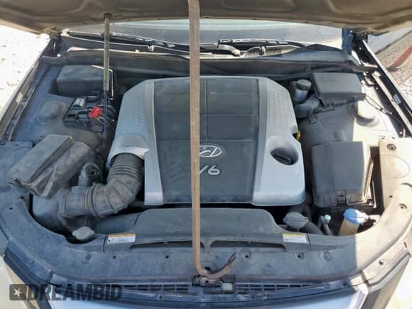 2009 Hyundai Genesis with VIN KMHGC46E89U068998, listed as a Copart auction lot 81590315 with 201,337 mi miles and Salvage title. Bid and sale history available at DreamBid. Image 11.