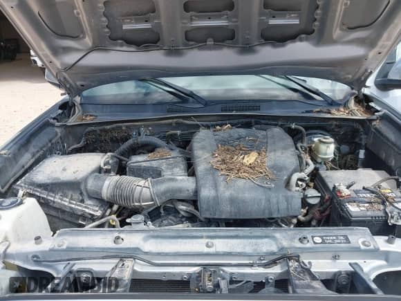 2016 Toyota Tacoma SR5 с VIN 5TFAZ5CN7GX014297, выставлен на аукционе IAAI как лот 42713156 с пробегом Не указан миль и . История ставок и продаж доступна на DreamBid. Изображение 10.