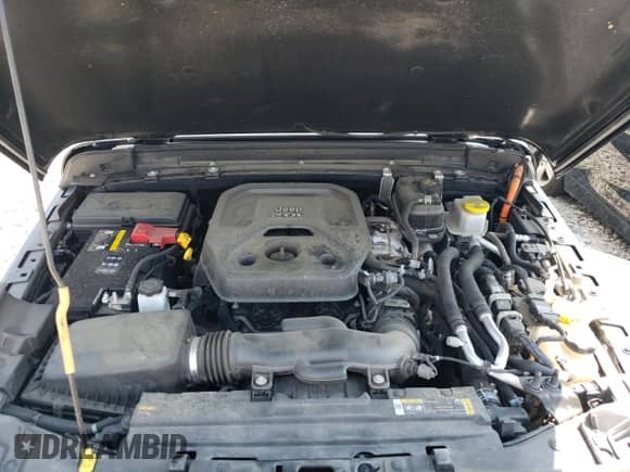 2021 Jeep Wrangler Unlimited Sahara with VIN 1C4JJXP66MW642682, listed as a Copart auction lot 80336735 with 55,596 mi miles and Salvage title. Bid and sale history available at DreamBid. Image 12.