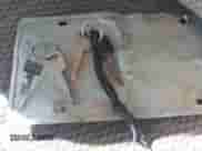 1997 Ford F-150 с VIN 1FTDF17W6VNA58530, выставлен на аукционе IAAI как лот 43499708 с пробегом 96 826 миль миль и . История ставок и продаж доступна на DreamBid. Изображение 11.