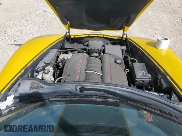 2011 Chevrolet Corvette 2LT with VIN 1G1YF3DW9B5112263, listed as a Copart auction lot 73848984 with Not provided miles and Salvage title. Bid and sale history available at DreamBid. Image 11.