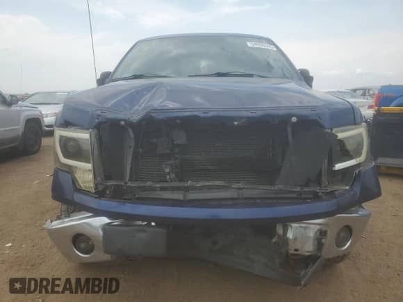 2012 Ford F-150 XL with VIN 1FTEX1EM4CFA11524, listed as a Copart auction lot 64966095 with 167,154 mi miles and Clean title. Bid and sale history available at DreamBid. Image 5.