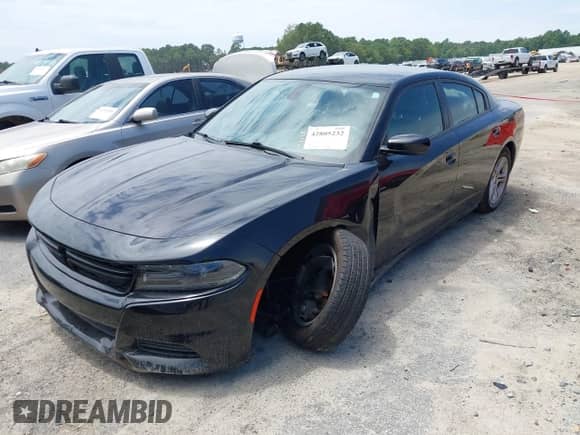 2019 Dodge Charger SXT with VIN 2C3CDXBG0KH743586, listed as a IAAI auction lot 42805232 with 80,919 mi miles and . Bid and sale history available at DreamBid. Image 19.