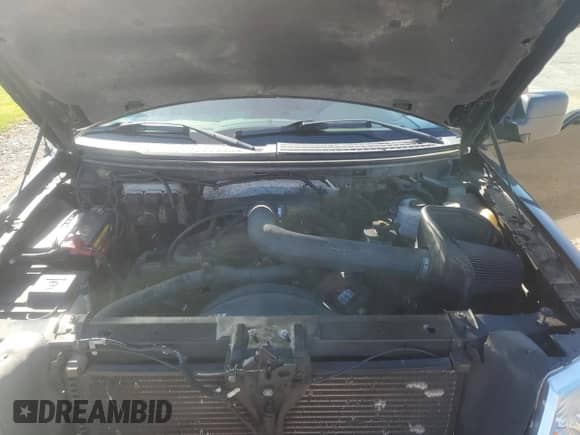 2008 Ford F-150 XLT with VIN 1FTPX14V98FA66626, listed as a Copart auction lot 86281995 with 113,247 mi miles and Clean title. Bid and sale history available at DreamBid. Image 11.