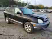 2005 Hyundai Santa Fe GLS z VIN KM8SC13E25U941748, wystawiony jako Copart lot #79509904 z przebiegiem 135 000 mil mil oraz Szkoda całkowita • Salvage title. Historia ofert i sprzedaży dostępna na DreamBid. Obrazek 4.