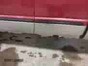 1998 Dodge 1500 с VIN 3B7HF12Z5WM236328, выставлен на аукционе IAAI как лот 42307896 с пробегом 134 476 миль миль и . История ставок и продаж доступна на DreamBid. Изображение 12.