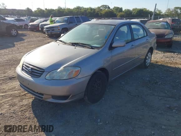 2003 Toyota Corolla S with VIN 2T1BR32E53C016441, listed as a IAAI auction lot 43475421 with 203,899 mi miles and . Bid and sale history available at DreamBid. Image 2.
