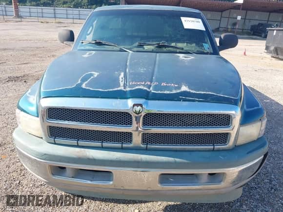 1999 Dodge 1500 with VIN 3B7HF13Z6XG149309, listed as a IAAI auction lot 43120700 with 204,180 mi miles and . Bid and sale history available at DreamBid. Image 10.