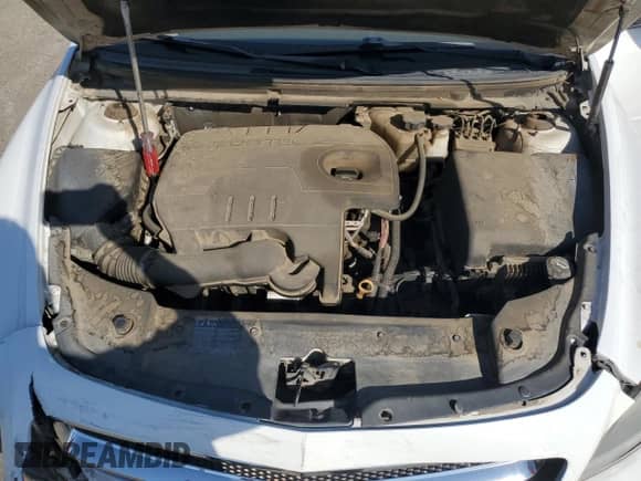 2011 Chevrolet Malibu 1LT с VIN 1G1ZC5EU0BF360319, выставлен на аукционе Copart как лот 81061195 с пробегом 185 604 миль миль и Списание • Salvage title. История ставок и продаж доступна на DreamBid. Изображение 11.