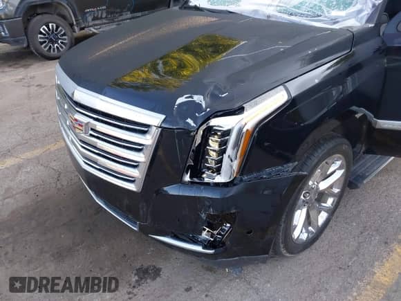 2017 Cadillac Escalade ESV Platinum with VIN 1GYS4KKJXHR194388, listed as a IAAI auction lot 43152737 with 116,134 mi miles and . Bid and sale history available at DreamBid. Image 6.