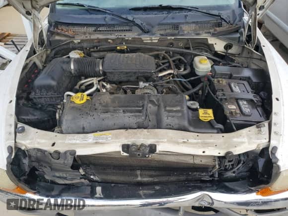 2004 Dodge Dakota SLT with VIN 1D7HG48N74S762117, listed as a Copart auction lot 85271725 with Not provided miles and Salvage title. Bid and sale history available at DreamBid. Image 11.