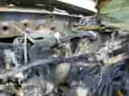 2019 Toyota Tacoma SR5 with VIN 5TFSZ5AN8KX200172, listed as a Copart auction lot 61977585 with Not provided miles and Salvage title. Bid and sale history available at DreamBid. Image 9.