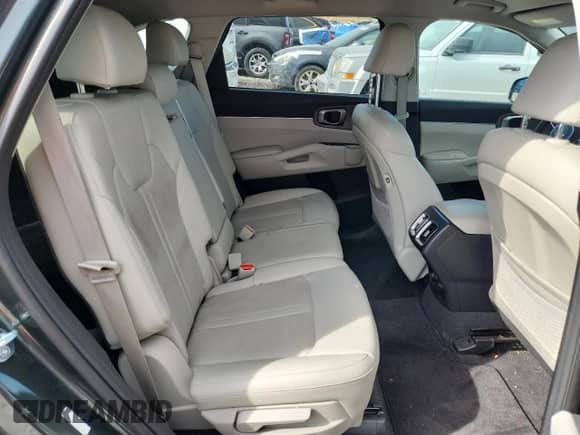 2023 Kia Sorento X-Line S with VIN 5XYRLDLC1PG232204, listed as a Copart auction lot 71703835 with 42,784 mi miles and Salvage title. Bid and sale history available at DreamBid. Image 10.
