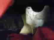 2025 Nissan Frontier SV с VIN 1N6ED1FK4SN622712, выставлен на аукционе IAAI как лот 43061962 с пробегом 2 181 миль миль и . История ставок и продаж доступна на DreamBid. Изображение 19.