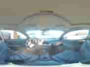 2006 Chevrolet Monte Carlo LT 3.9L с VIN 2G1WK151369236354, выставлен на аукционе Copart как лот 80465215 с пробегом 143 802 миль миль и Списание • Salvage title. История ставок и продаж доступна на DreamBid. Изображение 14.