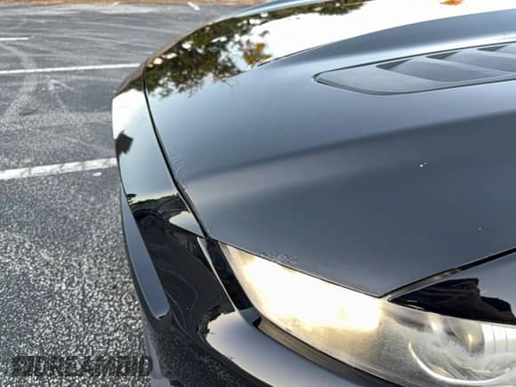 2017 Ford Mustang GT z VIN 1FA6P8CF9H5263838, wystawiony jako Copart lot #89445895 z przebiegiem 59 348 mil mil oraz Czysty tytuł • Clean title. Historia ofert i sprzedaży dostępna na DreamBid. Obrazek 12.