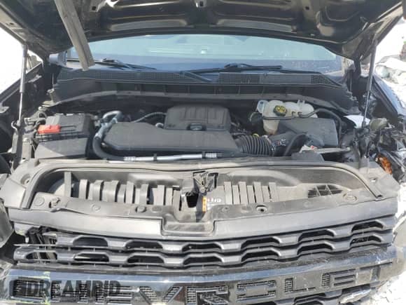 2022 Chevrolet Silverado 1500 Custom with VIN 3GCPYBEK8NG176424, listed as a Copart auction lot 69298705 with 50,729 mi miles and Salvage title. Bid and sale history available at DreamBid. Image 11.