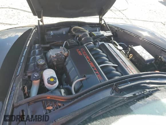 2007 Chevrolet Corvette with VIN 1G1YY26U875106770, listed as a Copart auction lot 76560024 with Not provided miles and Salvage title. Bid and sale history available at DreamBid. Image 11.