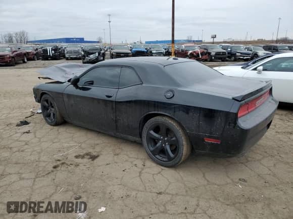2014 Dodge Challenger R/T Plus with VIN 2C3CDYBT7EH250351, listed as a Copart auction lot 43872685 with 53,080 mi miles and Clean title. Bid and sale history available at DreamBid. Image 2.