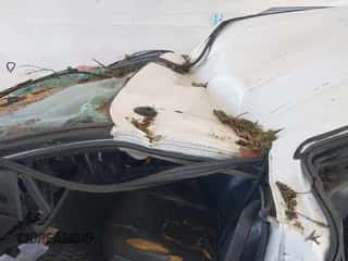 2005 Chevrolet Silverado 1500HD LT z VIN 1GCGK13U25F921945, wystawiony jako IAAI lot #41688949 z przebiegiem 250 734 mil mil oraz . Historia ofert i sprzedaży dostępna na DreamBid. Obrazek 6.